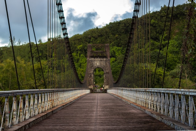 ponts suspendus